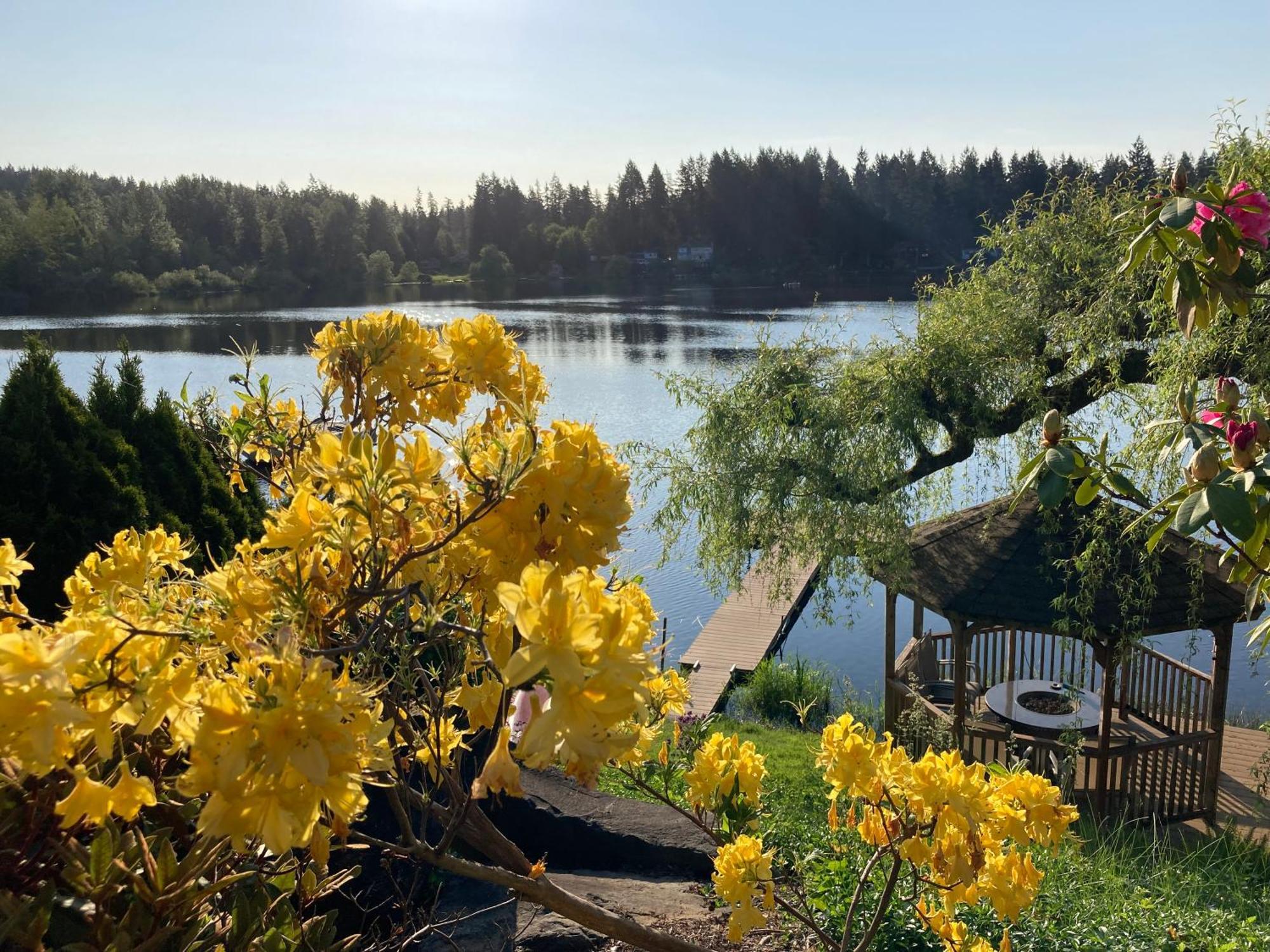 Cottage Lake Bed And Breakfast Woodinville Dış mekan fotoğraf