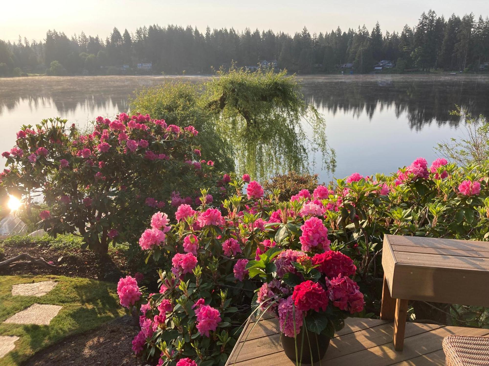 Cottage Lake Bed And Breakfast Woodinville Dış mekan fotoğraf