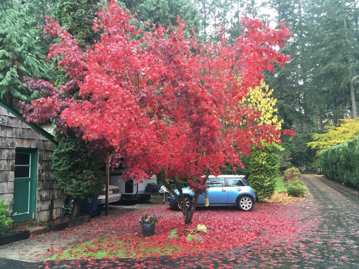 Cottage Lake Bed And Breakfast Woodinville Dış mekan fotoğraf