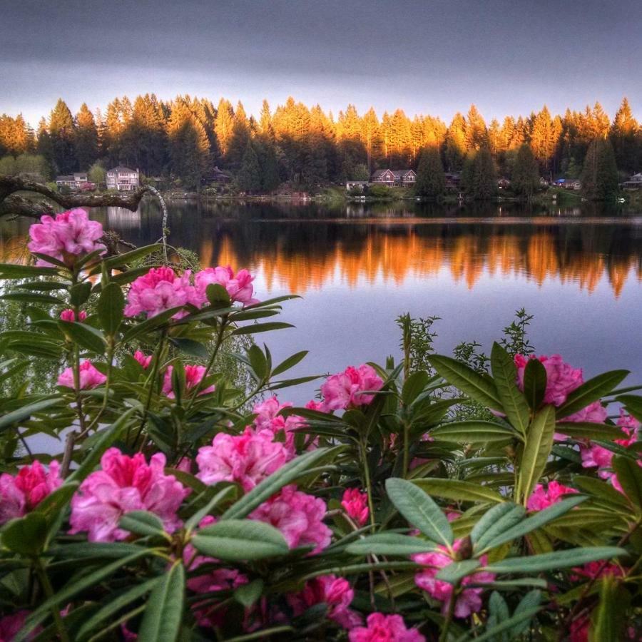 Cottage Lake Bed And Breakfast Woodinville Dış mekan fotoğraf